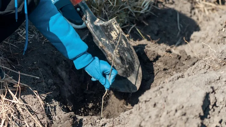 Descontaminação de solo