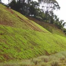 Hidrossemeadura para projetos